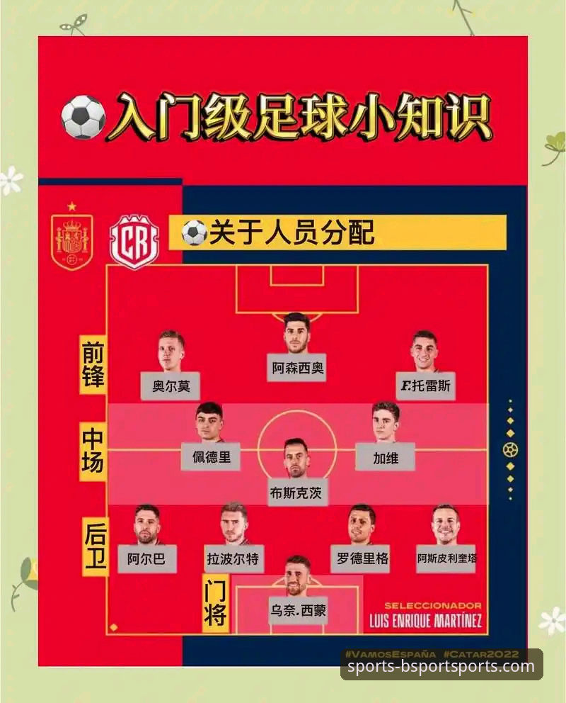 BSport体育怎么用 BSport体育怎么用?3步解锁运动新世界的完整指南